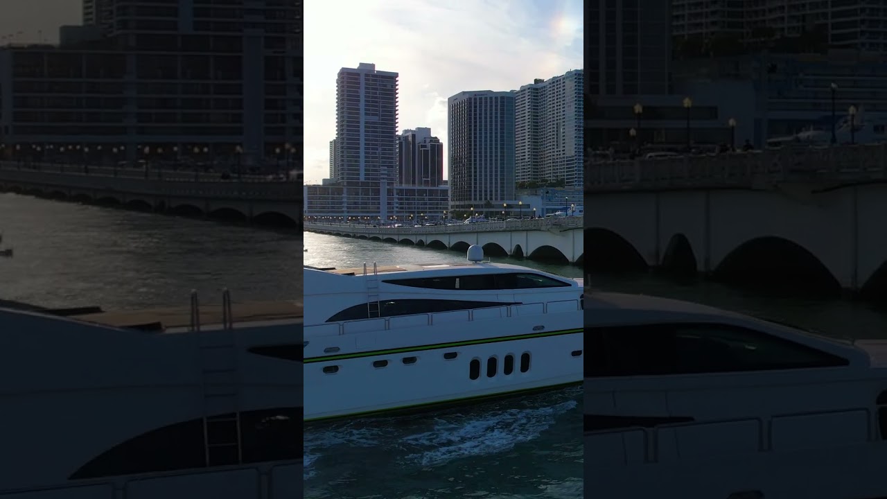 Leopard navigând lângă PortMiami