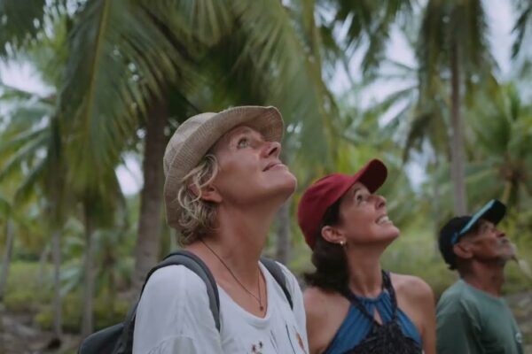 Aliikai Voyage | 42M | Experimentați Togean autentic și Sulawesi de Sud