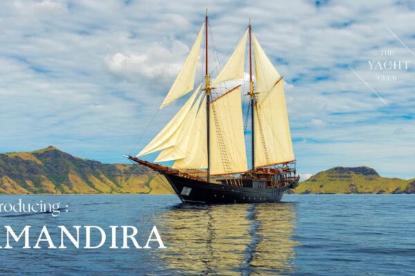 Amandira | 52M | Vase antice de condimente cu lux modern