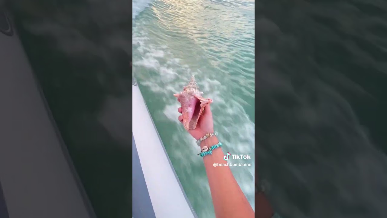 Fecioare cu vele | Introducere în navigație martie 2024 | Navigați cu Blaine