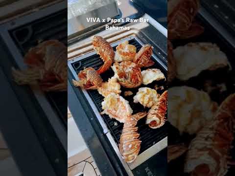 #reggae #muzică #miliardar #fete #luxu #iaht #yachting #bahamas #barcă #fructe de mare #gătit