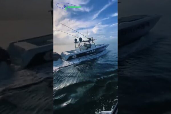 Barcă de pescuit de mare viteză | MS Constructii navale