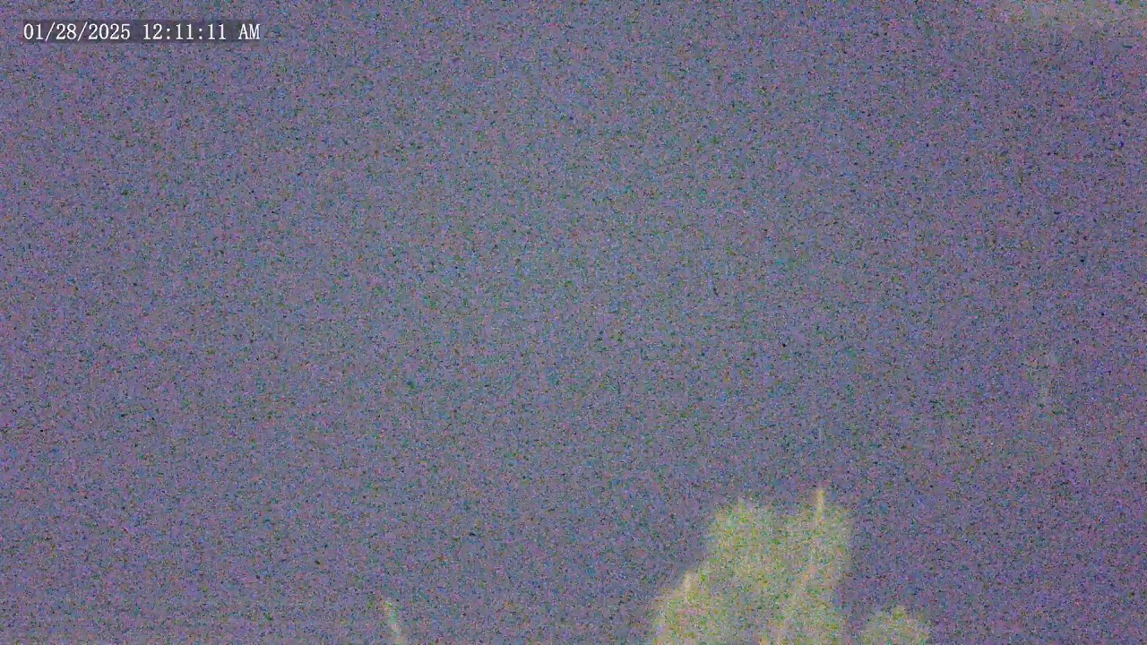 Oceanside, CA Harbour - Live