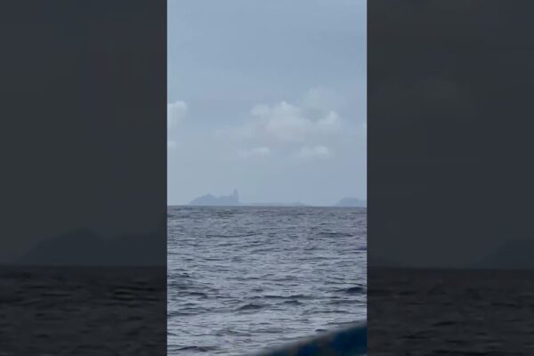 Fernando de Noronha la vedere pentru Violette Dorange | Vendée Globe 2024