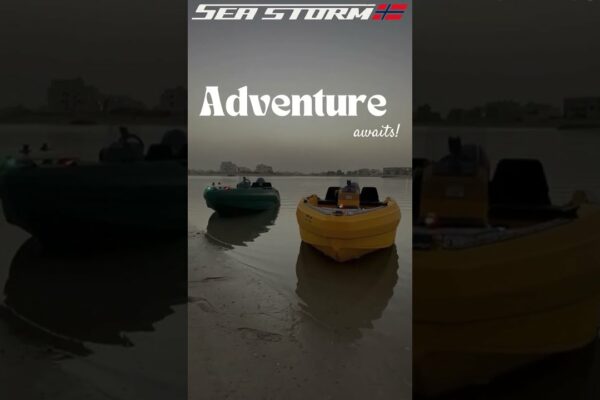 Două s -au înlăturat, alimentat și gata să cucerească valurile! 🌊⚡ Unde le -ai lua?