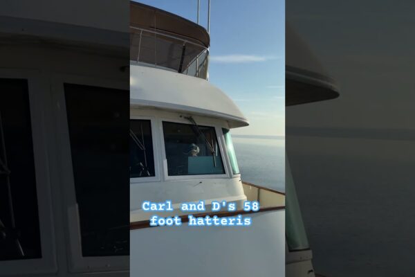 Din aceasta sunt făcute visele: plimbarea prin Lacul Okeechobee, bijuteria ascunsă din Florida! 🌊🚤