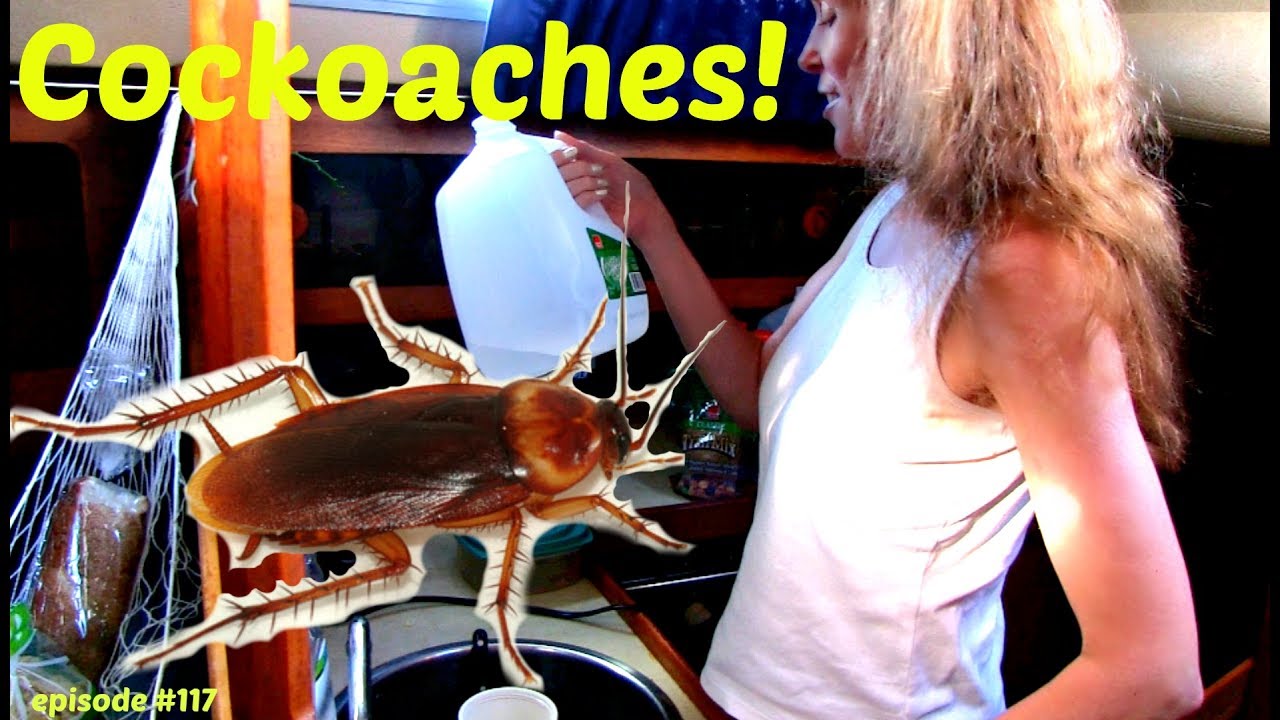 Episodul #117 Gandaci!