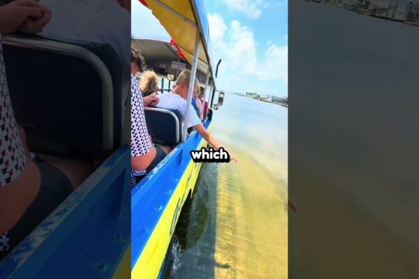 Acest autobuz navighează în loc de unități🤯