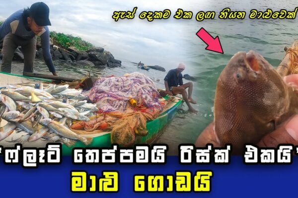 Mod uimitor de pescuit în nava de navigare mică | Pescuitul Sri Lanka | SL pescar