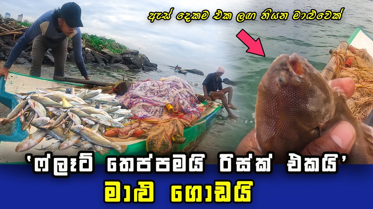 Mod uimitor de pescuit în nava de navigare mică | Pescuitul Sri Lanka | SL pescar