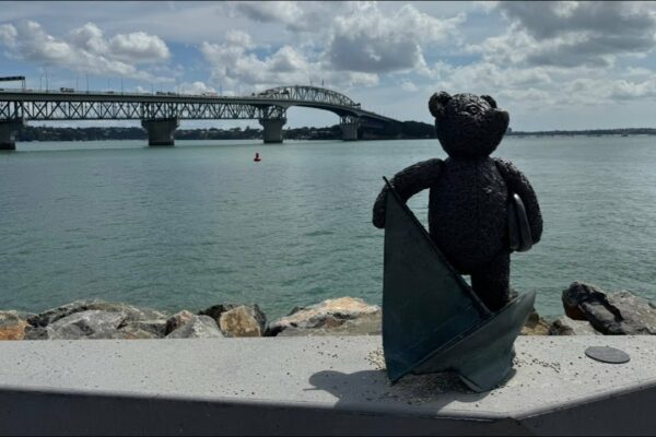 City of Sails Auckland 🇳🇿live din Noua Zeelandă