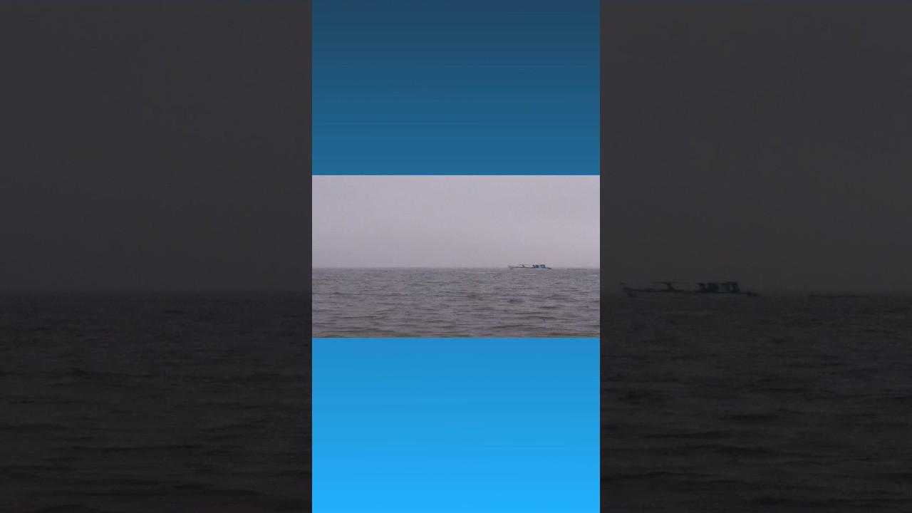 Călărind o barcă pe ocean #sailing #shorts