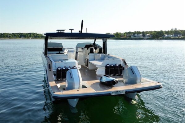 Tesoro T38 Cat Power