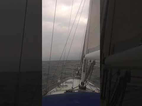 Navigarea furtunii ⛵️