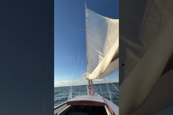Reefing pe lacul Sylvan #sailing