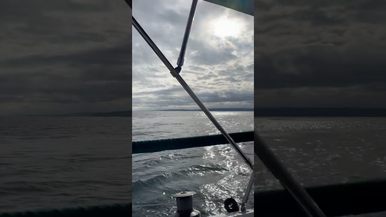 Frumos la începutul lunii martie pentru a vă relaxa puțin înainte de începerea săptămânii de lucru. #Sailing #Sailor