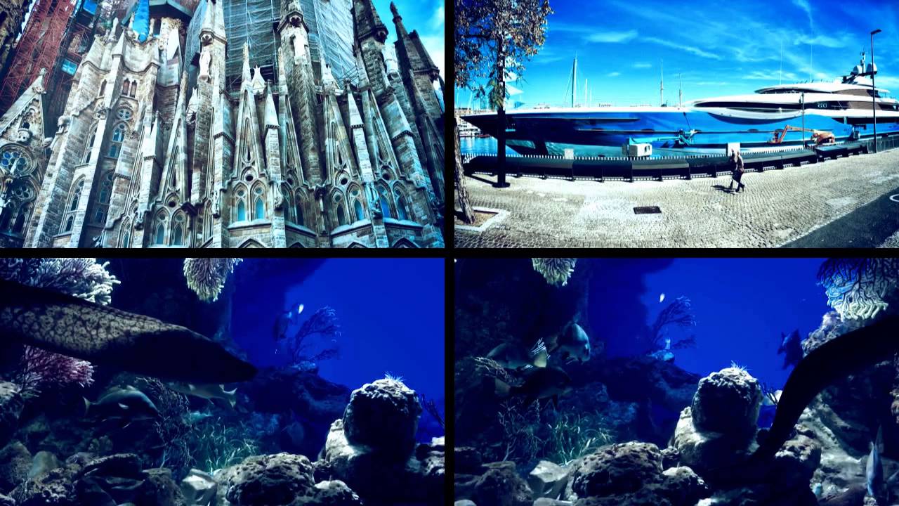 Stil de viață rezidual - Market & Harbour - Barcelona 2016