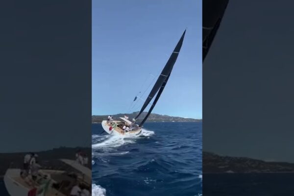 Solaris 60! ⛵️ #Shorts