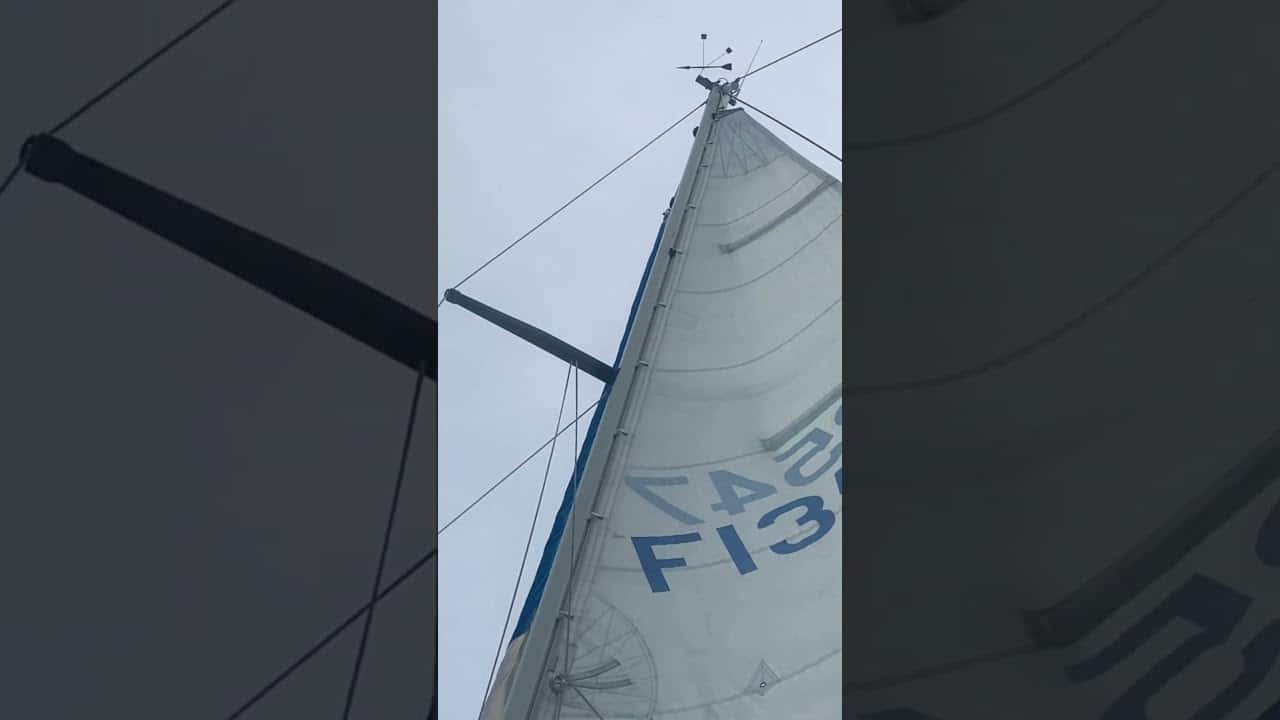 Februarie 2025 Navigare #sailing