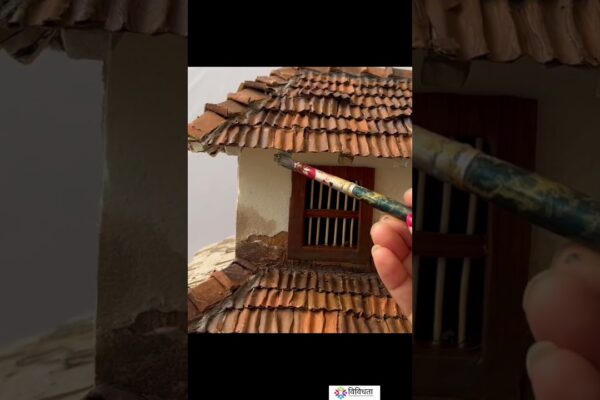 CASTE CADBOAR / CARACTER CARDBORD #YOUTUBEHORTS #SHORTS #VIIRAL #VIVIDHATA #DIY #MALGUDAYS