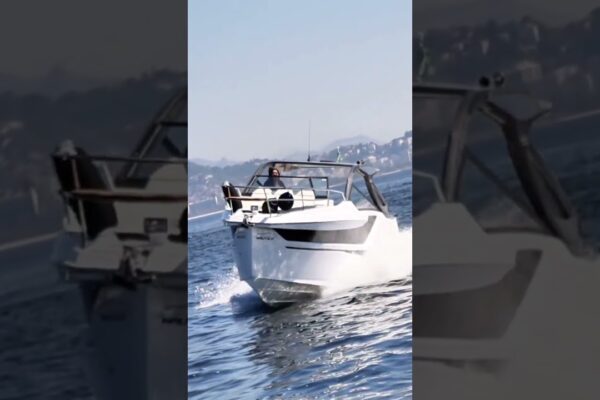 Navigabilitatea perfectă!