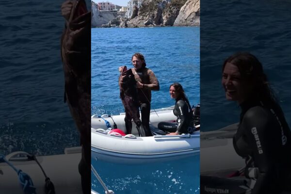 Pescasub pe barca cu pânze 🎯 Captura monstruoasă: 20 kg Cernia! 🐟⛵