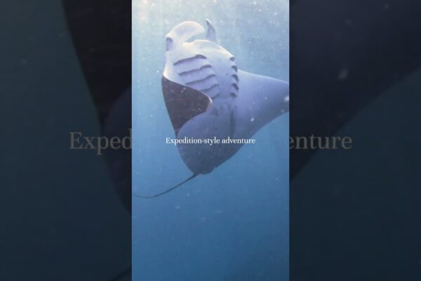Ecoventura - Experiențe excepționale de yachting în Galapagos