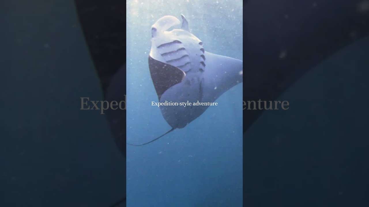 Ecoventura - Experiențe excepționale de yachting în Galapagos
