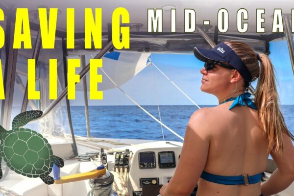 O evadare norocoasă | Ocean Catamaran Nailing - Navigarea Florence Ep.202