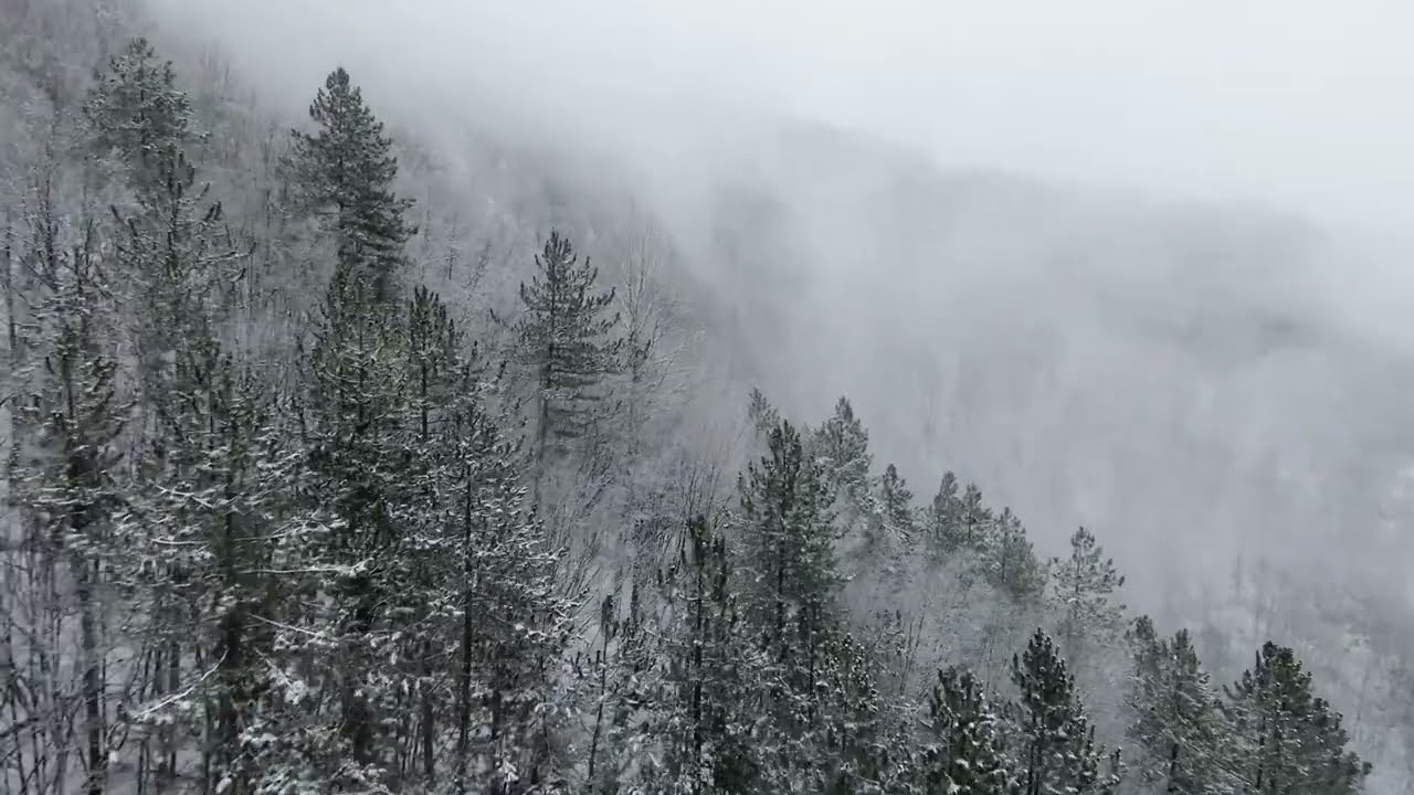 Droni în jurul Marisel și Lacul Tarnita (Cluj, România, 4K)
