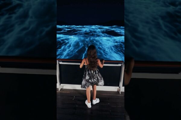 ✨Ocean strălucește cu bioluminescență și delfini! 🐬💙 #Bioluminescence #Maldives #Amazing #Cruise