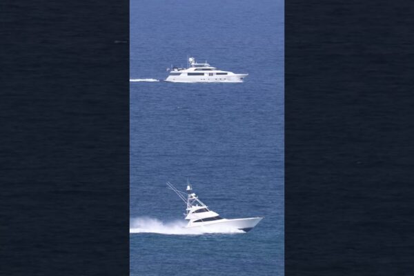 Pescar sportiv sau iaht? Astăzi la Miami