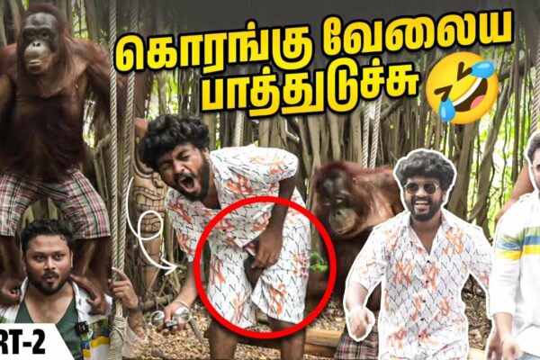 Jocuri vj siddhu vlogs