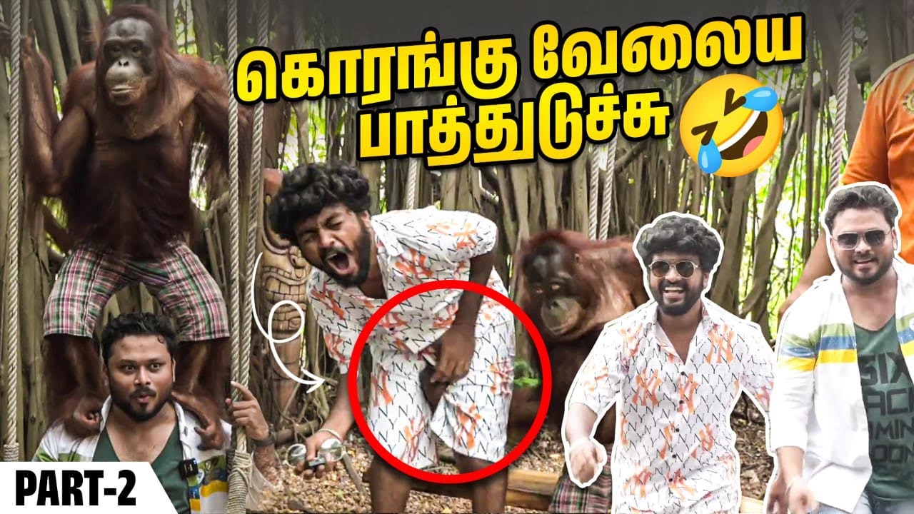 Jocuri vj siddhu vlogs