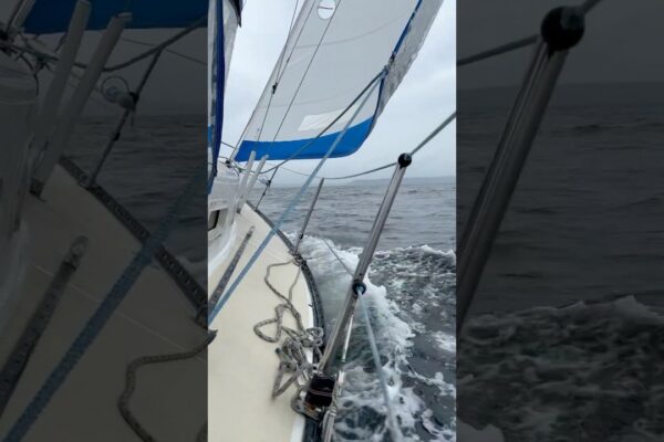 Frumoasă cursă de buze de căldură cam duminică. #sailing #sailboat #chill #music #sailingboat