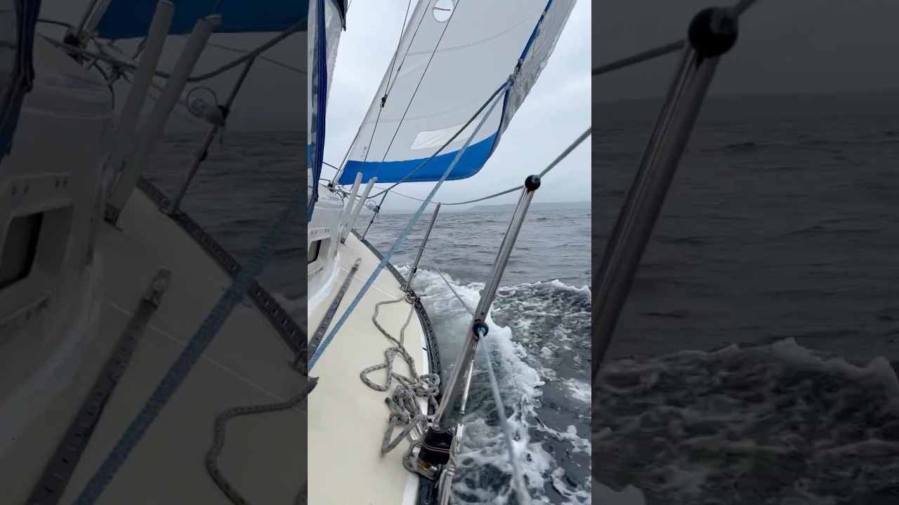 Frumoasă cursă de buze de căldură cam duminică. #sailing #sailboat #chill #music #sailingboat