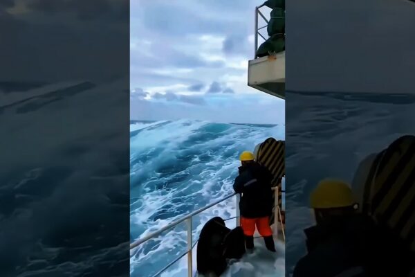Viața muncitorilor din Marea Nordului 😨 Câte salarii? 🤔✨ #Shorts #Northsea #ytshorts