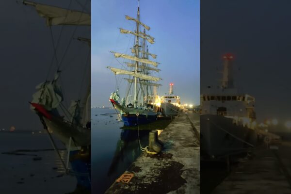 Majestic Tarangini: navigând prin vise la port ⛵✨ #Sailingaway #Sailaway #scurt #Pantaloni scurți