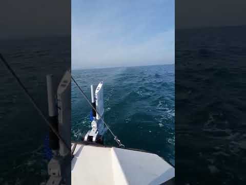 Noul Remigo Electric Outboard împingând un marinar de trafic la Portland UK