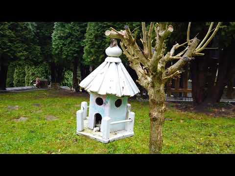 Casuta Mariei ( Tarnita - Coada Lacului, muntii Apuseni, judetul Cluj )