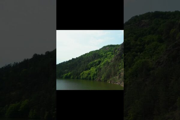 DJI Mini 3 Pro | Lake Tarnița | Romania 🇷🇴