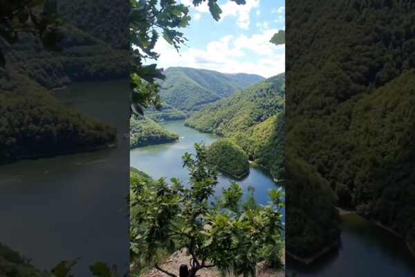 Tarnița Lake View