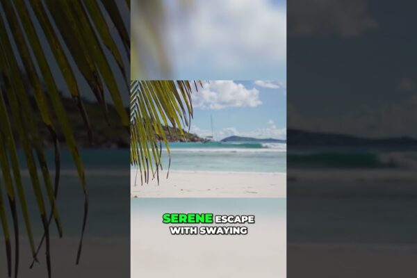 Descoperiți Golful Marigot: Paradisul ascuns al Caraibelor pentru relaxare
