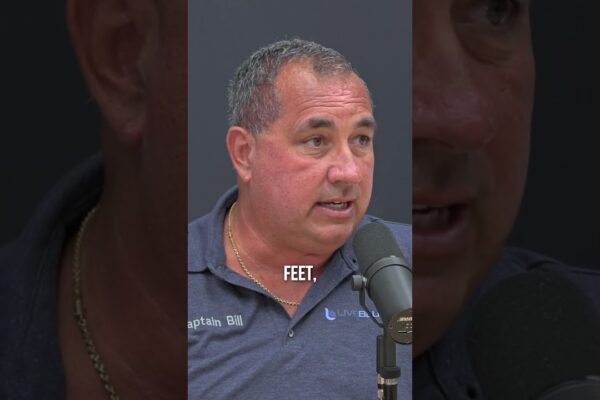 Obținerea licenței unui căpitan este prea ușoară