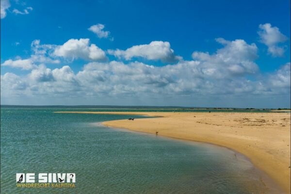 #kitesurfing în Sri Lanka -trip la #Paradise #Island #srilanka #Kiteschool #KiTespot