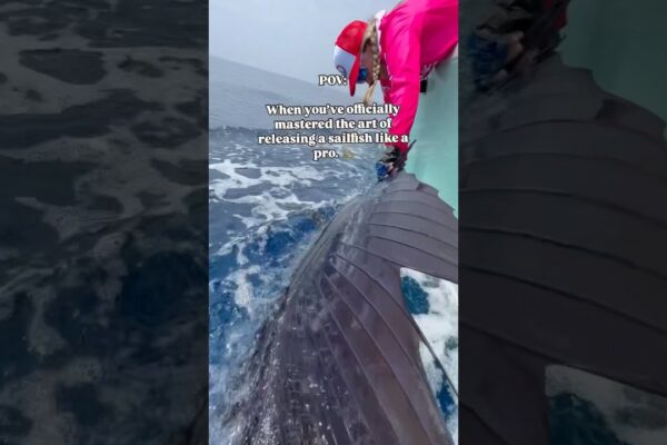 Când ați stăpânit oficial arta de a lansa un pește de pânză în Costa Rica 🇨🇷