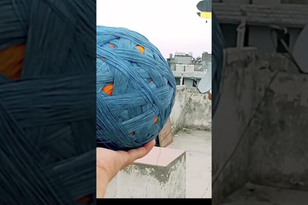 Uimitor zmeu zmeu #ytshorts #youtube #punjabi #youtubeshorts #youtubereels