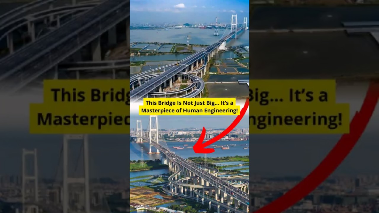 Podurile din China sunt din ce în ce mai mari, mai inteligente și mai înfricoșătoare!