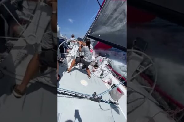 Câte noduri de vânt? 💨🤔 #Shorts