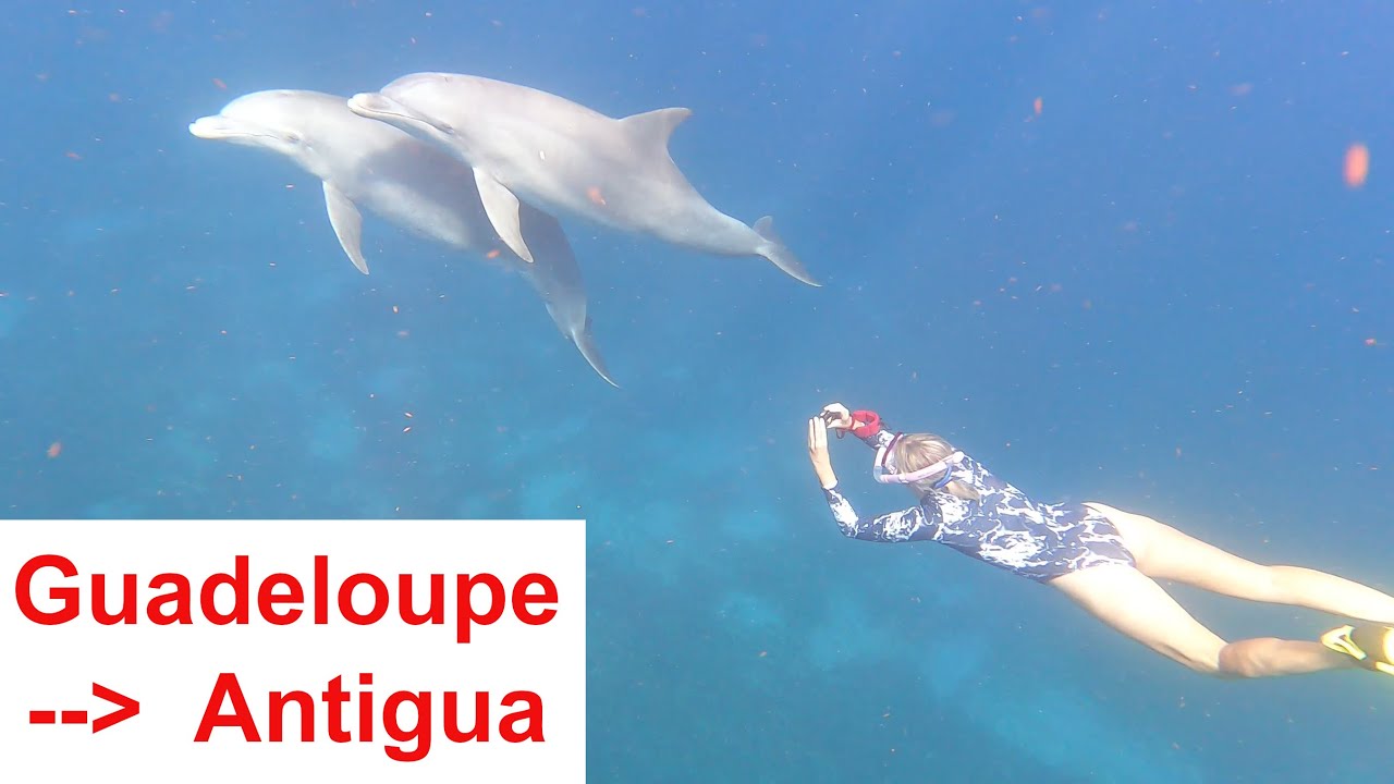 Navigarea Caraibelor - Partea 4